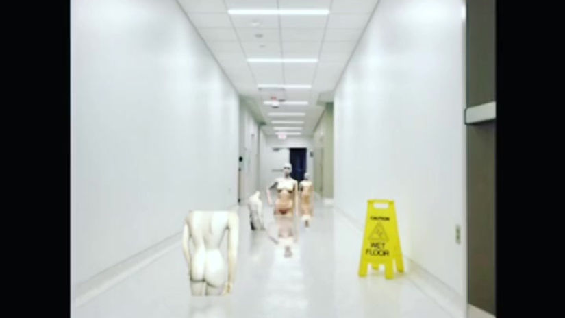 Eve Lanik, Malfunction, Digital Collage, Video, 2019.